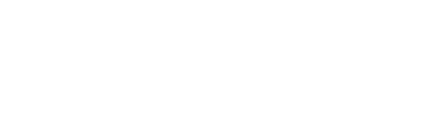 Nyksund-Berlin Artistic Archive Logo