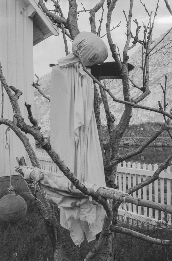 Nyksund images − Leafless tree with ghost.