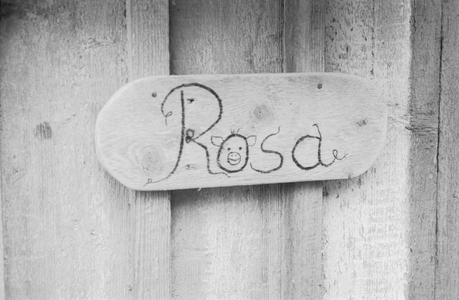 Rosa − Branded on an elongated piece of wood.